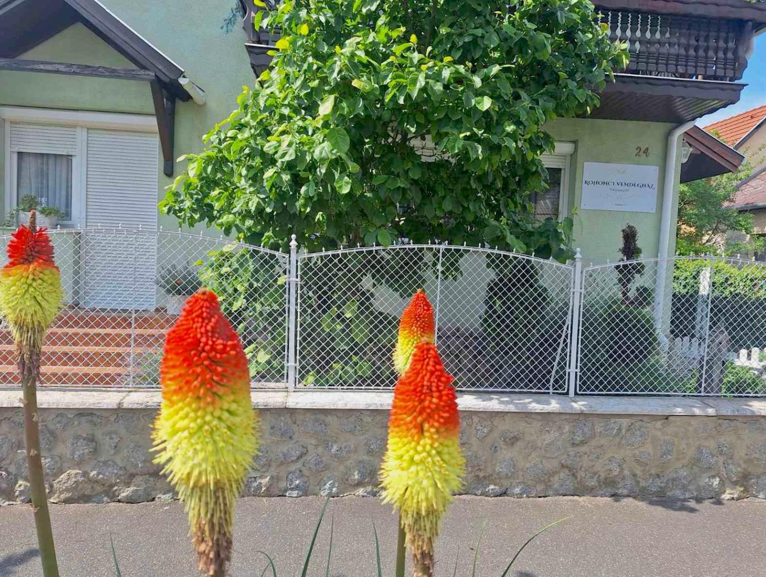 Rohonci Vendeghaz Hotel คือแซก ภายนอก รูปภาพ